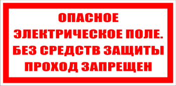 S13 Опасное электрическое поле. без средств защиты проход запрещен - Знаки безопасности - Знаки по электробезопасности - . Магазин Znakstend.ru